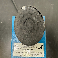 Scientific Industries Vortex Genie 2 image 3